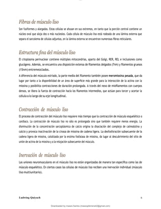 lOMoAR cPSD|13623298
Downloaded by maiara Santos (maiarapferreira42@gmail.com)
Fibras de músculo liso
Son fusiformes y alargadas. Estas células se ahusan en sus extremos, en tanto que la porción central contiene un
núcleo oval que aloja dos o más nucleolos. Cada célula de músculo liso está rodeada de una lámina externa que
separa el sarcolema de células adjuntas, en la lámina externa se encuentran numerosas ﬁbras reticulares.
Estructura ﬁna del músculo liso
El citoplasma perinuclear contiene múltiples mitocondrias, aparto del Golgi, RER, REL e inclusiones como
glucógeno. Además, se encuentra una disposición extensa de ﬁlamentos delgados (7nm) y ﬁlamentos gruesos
(15nm) entremezclados.
A diferencia del músculo estriado, la parte media del ﬁlamento también posee meromiosina pesada, que da
lugar por tanto a la disponibilidad de un área de superﬁcie más grande para la interacción de la actina con la
miosina y posibilita contracciones de duración prolongada. A través del nexo de mioﬁlamentos con cuerpos
densos, se libera la fuerza de contracción hacia los ﬁlamentos intermedios, que actúan para torcer y acortar la
célula a lo largo de su eje longitudinal.
Contracción de músculo liso
El proceso de contracción del músculo liso requiere más tiempo que la contracción de músculo esquelético o
cardiaco. La contracción de músculo liso no sólo es prolongada sino que también requiere menos energía. La
disminución de la concentración sarcoplásmica de calcio origina la disociación del complejo de calmodulina y
calcio y provoca inactivación de la cinasa de miosina de cadena ligera. La desfosforación subsecuente de la
cadena ligera de miosina, catalizada por la enzima fosfatasa de miosina, da lugar al descubrimiento del sitio de
unión de actina de la miosina y a la relajación subsecuente del músculo.
Inervación de músculo liso
Las uniones neuromusculares en el músculo liso no están organizadas de manera tan especíﬁca como las de
músculo esquelético. En ciertos casos las células de músculo liso reciben una inervación individual (músculo
liso multiunitario).
Ludwing Quiyuch 6
 