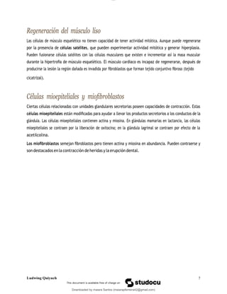 lOMoAR cPSD|13623298
Downloaded by maiara Santos (maiarapferreira42@gmail.com)
Regeneración del músculo liso
Las células de músculo esquelético no tienen capacidad de tener actividad mitótica. Aunque puede regenerarse
por la presencia de células satélites, que pueden experimentar actividad mitótica y generar hiperplasia.
Pueden fusionarse células satélites con las células musculares que existen e incrementar así la masa muscular
durante la hipertroﬁa de músculo esquelético. El músculo cardiaco es incapaz de regenerarse, después de
producirse la lesión la región dañada es invadida por ﬁbroblastos que forman tejido conjuntivo ﬁbroso (tejido
cicatrizal).
Células mioepiteliales y mioﬁbroblastos
Ciertas células relacionadas con unidades glandulares secretorias poseen capacidades de contracción. Estas
células mioepiteliales están modiﬁcadas para ayudar a llevar los productos secretorios a los conductos de la
glándula. Las células mioepiteliales contienen actina y miosina. En glándulas mamarias en lactancia, las células
mioepiteliales se contraen por la liberación de oxitocina; en la glándula lagrimal se contraen por efecto de la
acetilcolina.
Los mioﬁbroblastos semejan ﬁbroblastos pero tienen actina y miosina en abundancia. Pueden contraerse y
son destacados en la contracción de heridas y la erupción dental.
Ludwing Quiyuch 7
 