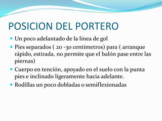 POSICION DEL PORTERO
Un poco adelantado de la línea de gol
Pies separados ( 20 -30 centímetros) para ( arranque
rápido, estirada, no permite que el balón pase entre las
piernas)
Cuerpo en tención, apoyado en el suelo con la punta
pies e inclinado ligeramente hacia adelante.
Rodillas un poco dobladas o semiflexionadas