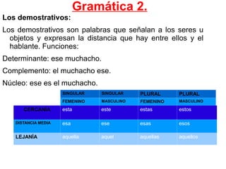 El sustantivo funciona como núcleo: carne. 