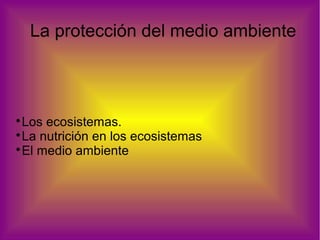 La protección del medio ambiente

Los ecosistemas.

La nutrición en los ecosistemas

El medio ambiente
 