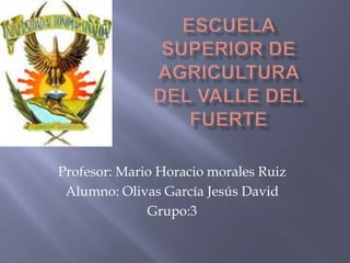 Escuela superior de agricultura del valle del fuerte Profesor: Mario Horacio morales Ruiz Alumno: Olivas García Jesús David Grupo:3 