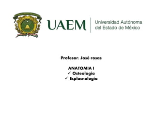 Profesor: José rosas
ANATOMIA I
 Osteología
 Esplacnología
 