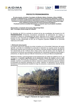 Página 1 de 21
PROYECTO PROINNOMADERA
En este proyecto, el Instituto Tecnológico del Mueble, Madera, Embalaje y Afines (AIDIMA)
investiga la viabilidad técnica, ecológica y económica de las plantaciones destinadas a madera y
biomasa, en el entorno mediterráneo y especialmente en la Comunidad Valenciana. Asimismo, en
el proyecto se desarrollarán productos innovadores basados en la madera y biomasa de origen
local, mediante la incorporación de nuevos procesos tecnológicos.
Finalizada la primera anualidad del proyecto, se exponen aquí los principales resultados
obtenidos.
Responsable y coordinador del proyecto: Miguel Ángel Abián
Dpto. Tecnología y Biotecnología de la Madera
En diciembre de 2015 ha concluido la primera de las dos anualidades del proyecto de I+D
PROINNOMADERA (Productos innovadores procedentes de plantaciones de madera y
orientados a mejorar la competitividad del sector valenciano de la madera y biomasa). Este
proyecto ha sido financiado por el IVACE (Instituto Valenciano de Competitividad Empresarial).
También ha sido cofinanciado al 50% por el Programa Operativo FEDER de la Comunitat
Valenciana 2014-2020.
1. Motivación del proyecto
El proyecto partió de la intención de evitar el declive en la Comunidad Valenciana del sector
agrícola, cuya falta de rentabilidad ha producido el abandono en muchas zonas de grandes
extensiones óptimas para la producción de madera y biomasa (49.000 hectáreas agrícolas se
han abandonado en los 3 últimos años). Estas zonas, tanto de secano como de regadío, se
encuentran en territorios que atraviesan actualmente por importantes problemas estructurales y
productivos, en algunos casos por falta de inversiones y en otros por falta de competitividad.
Mediante el estudio y aprovechamiento de las plantaciones de madera de calidad en la CV, se
conseguirá un aumento significativo de la producción interna de madera y de su valor
añadido, lo que disminuirá las importaciones y mejorará la competitividad de los productos
actuales. Asimismo, la posibilidad de obtener madera de calidad de distintas especies facilitará
la diversidad de productos requeridos por el sector. Además, la valorización de los residuos
biomásicos de las plantaciones ampliará el rango de productos y subproductos obtenido de las
plantaciones.
Imagen 1. Plantación de nogal en Vallada.
 
