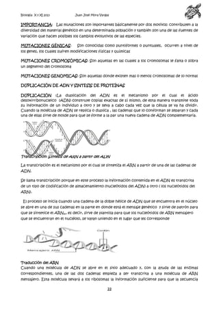 Biología X y XI 2013

Juan José Mora Vargas

IMPORTANCIA: Las mutaciones son importantes básicamente por dos motivos: contribuyen a la
diversidad del material genético en una determinada población y también son una de las fuentes de
variación que hacen posibles los cambios evolutivos de las especies.
MUTACIONES GÉNICAS:

Son conocidas como puntiformes o puntuales, ocurren a nivel de

los genes, los cuales sufren modificaciones físicas y químicas
MUTACIONES CROMOSÓMICAS: Son aquellas en las cuales a los cromosomas le falta o sobra
un segmento del cromosoma
MUTACIONES GENOMICAS: Son aquellas donde existen mas o menos cromosomas de lo normal
DUPLICACIÓN DE ADN Y SINTESIS DE PROTEÍNAS
DUPLICACIÓN :La duplicación del ADN es el mecanismo por el cual el ácido
desoxirribonucleico (ADN) construye copias exactas de sí mismo, de esta manera transmite toda
su información de un individuo a otro y se lleva a cabo cada vez que la célula se va ha dividir.
Cuando la molécula de ADN se replica o duplica , las cadenas que lo conforman se separan y cada
una de ellas sirve de molde para que se forme a la par una nueva cadena de ADN complementaria.

Transcripción: Síntesis de ARN a partir del ADN
La transcripción es el mecanismo por el cual se sintetiza el ARN a partir de una de las cadenas de
ADN.
Se llama transcripción porque en este proceso la información contenida en el ADN es transcrita
de un tipo de codificación de almacenamiento (nucleótidos del ADN) a otro ( los nucleótidos del
ARN).
El proceso se inicia cuando una cadena de la doble hélice de ADN que se encuentra en el núcleo
se abre en una de sus cadenas en la parte en donde está el mensaje genético y sirve de patrón para
que se sintetice el ARNm, es decir, sirve de plantilla para que los nucleótidos de ARN mensajero
que se encuentran en el nucléolo, se vayan uniendo en el lugar que les corresponde

Traducción del ARN
Cuando una molécula de ADN se abre en el sitio adecuado y, con la ayuda de las enzimas
correspondientes, una de las dos cadenas empieza a ser transcrita a una molécula de ARN
mensajero. Esta molécula llevará a los ribosomas la información suficiente para que la secuencia

22

 