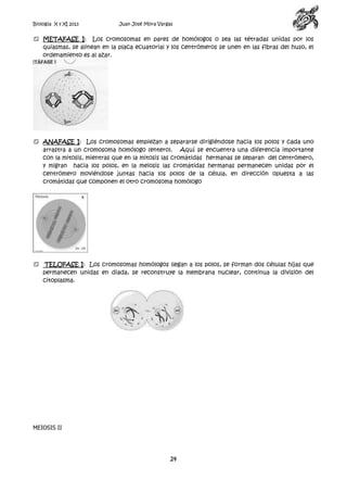 Biología X y XI 2013

Juan José Mora Vargas

 METAFASE I: Los cromosomas en pares de homólogos o sea las tétradas unidas por los
quiasmas, se alinean en la placa ecuatorial y los centrómeros se unen en las fibras del huso, el
ordenamiento es al azar.

 ANAFASE I: Los cromosomas empiezan a separarse dirigiéndose hacia los polos y cada uno
arrastra a un cromosoma homólogo (entero). Aquí se encuentra una diferencia importante
con la mitosis, mientras que en la mitosis las cromátidas hermanas se separan del centrómero,
y migran hacia los polos, en la meiosis las cromátidas hermanas permanecen unidas por el
centrómero moviéndose juntas hacia los polos de la célula, en dirección opuesta a las
cromátidas que componen el otro cromosoma homólogo

 TELOFASE I: Los cromosomas homólogos llegan a los polos, se forman dos células hijas que
permanecen unidas en diada, se reconstruye la membrana nuclear, continua la división del
citoplasma.

MEIOSIS II

24

 