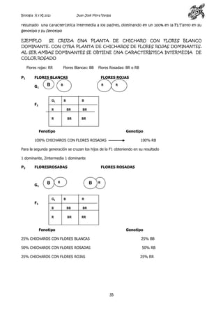Biología X y XI 2013

Juan José Mora Vargas

resultado una característica intermedia a los padres, dominando en un 100% en la F1.Tanto en su
genotipo y su fenotipo
EJEMPLO

SE

CRUZA

UNA

PLANTA

DE

CHICHARO

CON

FLORES

BLANCO

DOMINANTE, CON OTRA PLANTA DE CHICHAROS DE FLORES ROJAS DOMINANTES,
AL SER AMBAS DOMINANTES SE OBTIENE UNA CARACTERÍSTICA INTERMEDIA DE
COLOR ROSADO
Flores rojas: RR
P1

Flores Blancas: BB

Flores Rosadas: BR o RB

FLORES BLANCAS
G1

B

B

G1

F1

FLORES ROJAS
R

B

R

B

R

BR

BR

R

BR

BR

Fenotipo
lLlll
1O0% CHICHAROS CON FLORES ROSADAS

Genotipo
100% RB

Para la segunda generación se cruzan los hijos de la F1 obteniendo en su resultado
1 dominante, 2intermedia 1 dominante
P2

FLORESROSADAS

G1

F1

FLORES ROSADAS

R

B

G1

B

B

R

R

B

BB

BR

R

BR

RR

Fenotipo
lLlll
25% CHICHAROS CON FLORES BLANCAS

Genotipo
25% BB

50% CHICHAROS CON FLORES ROSADAS

50% RB

25% CHICHAROS CON FLORES ROJAS

25% RR

35

 