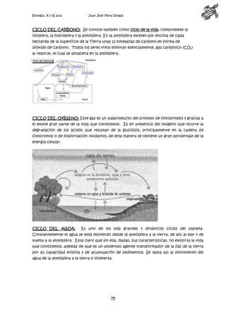 Biología X y XI 2013

Juan José Mora Vargas

CICLO DEL CARBONO: Se conoce también como ciclo de la vida, compromete la
litosfera, la hidrosfera y la atmósfera. En la atmósfera existen por encima de cada
hectárea de la superficie de la Tierra unas 13 toneladas de carbono en forma de
dióxido de carbono. Todos los seres vivos eliminan esencialmente, gas carbónico (CO 2)
al respirar, el cual se almacena en la atmósfera.

CICLO DEL OXÍGENO: Este gas es un subproducto del proceso de fotosíntesis y gracias a
él existe gran parte de la vida que conocemos. Es en presencia del oxígeno que ocurre la
degradación de los ácidos que resultan de la glucólisis, principalmente en la cadena de
citocromos o de fosforilación oxidativo; de esta manera se obtiene un gran porcentaje de la
energía celular.

CICLO DEL AGUA:

Es uno de los más grandes y dinámicos ciclos del planeta.

Constantemente el agua se está moviendo desde la atmósfera a la tierra, de ahí al mar y de
vuelta a la atmósfera. Está claro que sin ella, dadas, sus características, no existiría la vida
que conocemos, además de que es un poderoso agente transformador de la faz de la tierra
por su capacidad erosiva y de acumulación de sedimentos. Se llama así al movimiento del
agua de la atmósfera a la tierra o viceversa.

75

 