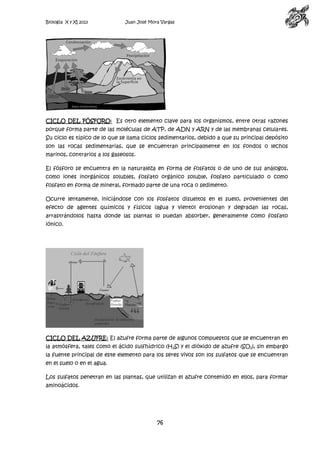 Biología X y XI 2013

Juan José Mora Vargas

CICLO DEL FÓSFORO: Es otro elemento clave para los organismos, entre otras razones
porque forma parte de las moléculas de ATP, de ADN y ARN y de las membranas celulares.
Su ciclo es típico de lo que se llama ciclos sedimentarios, debido a que su principal depósito
son las rocas sedimentarias, que se encuentran principalmente en los fondos o lechos
marinos, contrarios a los gaseosos.
El fósforo se encuentra en la naturaleza en forma de fosfatos o de uno de sus análogos,
como iones inorgánicos solubles, fosfato orgánico soluble, fosfato particulado o como
fosfato en forma de mineral, formado parte de una roca o sedimento.
Ocurre lentamente, iniciándose con los fosfatos disueltos en el suelo, provenientes del
efecto de agentes químicos y físicos (agua y viento) erosionan y degradan las rocas,
arrastrándolos hasta donde las plantas lo puedan absorber, generalmente como fosfato
iónico.

CICLO DEL AZUFRE: El azufre forma parte de algunos compuestos que se encuentran en
la atmósfera, tales como el ácido sulfhídrico (H2S) y el dióxido de azufre (SO2), sin embargo
la fuente principal de este elemento para los seres vivos son los sulfatos que se encuentran
en el suelo o en el agua.
Los sulfatos penetran en las plantas, que utilizan el azufre contenido en ellos, para formar
aminoácidos.

76

 
