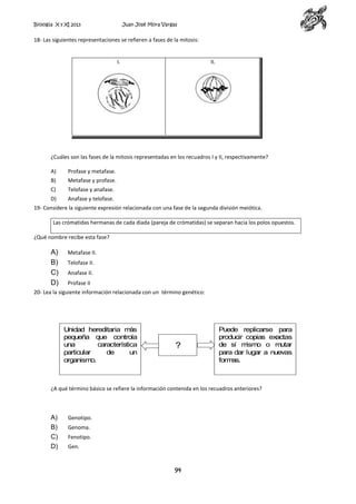 Biología X y XI 2013

Juan José Mora Vargas

18- Las siguientes representaciones se refieren a fases de la mitosis:

I.

II.

¿Cuáles son las fases de la mitosis representadas en los recuadros I y II, respectivamente?
A)

Profase y metafase.

B)

Metafase y profase.

C)

Telofase y anafase.

D)

Anafase y telofase.

19- Considere la siguiente expresión relacionada con una fase de la segunda división meiótica.
Las crómatidas hermanas de cada diada (pareja de crómatidas) se separan hacia los polos opuestos.
¿Qué nombre recibe esta fase?

A)
B)
C)
D)

Metafase II.
Telofase II.
Anafase II.
Profase II

20- Lea la siguiente información relacionada con un término genético:

Unidad hereditaria m
ás
pequeña que controla
una
característica
particular
de
un
organismo.

?

Puede replicarse para
producir copias exactas
de sí m
ismo o mutar
para dar lugar a nuevas
form
as.

¿A qué término básico se refiere la información contenida en los recuadros anteriores?

A)
B)
C)
D)

Genotipo.
Genoma.
Fenotipo.
Gen.

94

 