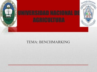UNIVERSIDAD NACIONAL DE
     AGRICULTURA


   TEMA: BENCHMARKING
 