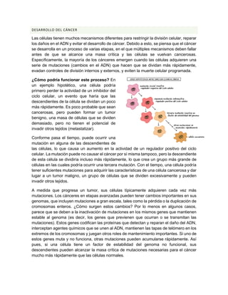 DESARROLLO DEL CÁNCER
Las células tienen muchos mecanismos diferentes para restringir la división celular, reparar
los daños en el ADN y evitar el desarrollo de cáncer. Debido a esto, se piensa que el cáncer
se desarrolla en un proceso de varias etapas, en el que múltiples mecanismos deben fallar
antes de que se alcance una masa crítica y las células se vuelvan cancerosas.
Específicamente, la mayoría de los cánceres emergen cuando las células adquieren una
serie de mutaciones (cambios en el ADN) que hacen que se dividan más rápidamente,
evadan controles de división internos y externos, y eviten la muerte celular programada.
¿Cómo podría funcionar este proceso? En
un ejemplo hipotético, una célula podría
primero perder la actividad de un inhibidor del
ciclo celular, un evento que haría que las
descendientes de la célula se dividan un poco
más rápidamente. Es poco probable que sean
cancerosas, pero pueden formar un tumor
benigno, una masa de células que se dividen
demasiado, pero no tienen el potencial de
invadir otros tejidos (metastatizar).
Conforme pasa el tiempo, puede ocurrir una
mutación en alguna de las descendientes de
las células, lo que causa un aumento en la actividad de un regulador positivo del ciclo
celular. La mutación puede no causar el cáncer por sí misma tampoco, pero la descendiente
de esta célula se dividiría incluso más rápidamente, lo que crea un grupo más grande de
células en las cuales podría ocurrir una tercera mutación. Con el tiempo, una célula podría
tener suficientes mutaciones para adquirir las características de una célula cancerosa y dar
lugar a un tumor maligno, un grupo de células que se dividen excesivamente y pueden
invadir otros tejidos.
A medida que progresa un tumor, sus células típicamente adquieren cada vez más
mutaciones. Los cánceres en etapas avanzadas pueden tener cambios importantes en sus
genomas, que incluyen mutaciones a gran escala, tales como la pérdida o la duplicación de
cromosomas enteros. ¿Cómo surgen estos cambios? Por lo menos en algunos casos,
parece que se deben a la inactivación de mutaciones en los mismos genes que mantienen
estable al genoma (es decir, los genes que previenen que ocurran o se transmitan las
mutaciones). Estos genes codifican las proteínas que detectan y reparan el daño del ADN,
interceptan agentes químicos que se unen al ADN, mantienen las tapas de telómero en los
extremos de los cromosomas y juegan otros roles de mantenimiento importantes. Si uno de
estos genes muta y no funciona, otras mutaciones pueden acumularse rápidamente. Así
pues, si una célula tiene un factor de estabilidad del genoma no funcional, sus
descendientes pueden alcanzar la masa crítica de mutaciones necesarias para el cáncer
mucho más rápidamente que las células normales.
 