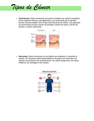 Tipos de Cáncer
• Carcinomas. Estos comienzan en la piel o el tejido que cubre la superficie
de los órganos internos y las glándulas. Los carcinomas por lo general
forman tumores sólidos. Son el tipo más frecuente de cáncer. Los ejemplos
de carcinomas incluyen cáncer de próstata, cáncer de mama, cáncer de
pulmón y cáncer colorrectal.
• Sarcomas. Estos comienzan en los tejidos que sostienen y conectan el
cuerpo. Un sarcoma puede desarrollarse en la grasa, los músculos, los
nervios, los tendones, las articulaciones, los vasos sanguíneos, los vasos
linfáticos, los cartílagos o los huesos.
 