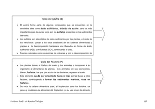 Ciclo del Azufre (S)


       •   El azufre forma parte de algunos compuestos que se encuentran en la
           atmósfera tales como ácido sulfhídrico, dióxido de azufre , pero los más
           importantes para los seres vivos son los sulfatos presentes en los sedimentos
           del suelo.
       •   Los sulfatos son absorbidos de estos sedimentos por las plantas, a través de
           los herbívoros   pasan a los otros eslabones de las cadenas alimenticias y
           gracias a    la descomposición bacteriana son liberados en forma de ácido
           sulfhídrico (H2S) y de sulfatos (SO4), continuando el ciclo.
       •   Fuentes naturales como erupciones de volcanes y por la descomposición de
           materia orgánica, efectuada por bacterias aeróbicas, en pantanos.

                                  Ciclo del Fósforo (P)
       •   Las plantas toman el fósforo del suelo y los animales o incorporan a su
           organismo al alimentarse de plantas.      Los animales, en sus excreciones,
           liberan fosfatos, los que, por acción de las bacterias, regresan al suelo.
       •   Este elemento puede ser arrastrado hacia el mar por las lluvias y otros
           factores, contribuyendo a formar los sedimentos marinos, ricos en
           fosfatos.
       •   Se inicia la cadena alimenticia pues, el fitoplancton toma los fosfatos, los
           peces y crustáceos se alimentan del fitoplanton y a su vez sirven de alimento
           a las aves marinas, las que contribuyen a formar rocas fosfatadas con sus


Profesor: José Luís Rosales Vallejos                                                       105
 
