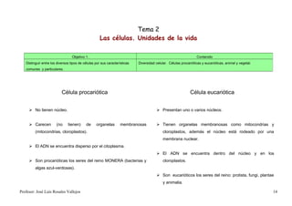 Tema 2
                                                     Las células. Unidades de la vida

                                  Objetivo 1.                                                                     Contenido
   Distinguir entre los diversos tipos de células por sus características   Diversidad celular. Células procarióticas y eucarióticas, animal y vegetal.
   comunes y particulares.




                           Célula procariótica                                                                Célula eucariótica


      No tienen núcleo.                                                                 Presentan uno o varios núcleos.


      Carecen         (no     tienen)     de     organelas       membranosas            Tienen organelas membranosas como mitocondrias y
         (mitocondrias, cloroplastos).                                                      cloroplastos, además el núcleo está rodeado por una
                                                                                            membrana nuclear.
      El ADN se encuentra disperso por el citoplasma.
                                                                                         El ADN se encuentra dentro del núcleo y en los
      Son procarióticas los seres del reino MONERA (bacterias y                            cloroplastos.
         algas azul-verdosas).
                                                                                         Son eucarióticos los seres del reino: protista, fungi, plantae
                                                                                            y animalia.

Profesor: José Luís Rosales Vallejos                                                                                                                      14
 