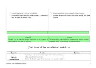  Síntesis de proteínas a partir de aminoácidos.                                  Descomposición de proteínas para formar aminoácidos.
      Fotosíntesis( invierte energía, forma glucosa ( 6 carbonos) a                   Proceso de respiración celular ( degrada la glucosa, para liberar
         partir de dióxido de carbono y agua.                                            energía)




                                      Objetivo 2.                                                                 Contenido
   Distinguir entre las organelas celulares relacionadas con e l transporte de    Transporte celular. Organelas (retículo endoplasmático, lisosoma, vacuola y
   sustancias a nivel de la célula por su función.                                complejo de Golgi). Funciones de las membranas celulares.




                                           Funciones de las membranas celulares

        Organela                                                Función                                                          Estructura
                                     Formado por una red de membranas que formas cisternas, sáculos y

        Retículo                      tubos aplanados intercomunicados.
                                     Existen dos tipos el rugoso (tiene ribosomas) en el cual se realiza la
   Endoplasmático


Profesor: José Luís Rosales Vallejos                                                                                                                            19
 