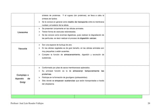 síntesis de proteínas.    Y el rugoso (sin proteínas), se lleva a cabo la
                                  síntesis de lípidos.
                                 Se le conoce en general como medio de transporte entre la membrana
                                  nuclear y el exterior de la célula.
                                 Se presentan únicamente en las células animales.

       Lisosoma                  Tienen forma de vesículas redondeadas.
                                 Se les conoce como enzimas digestivas, pues realizan la degradación de
                                  las partículas, es decir realizan el proceso de digestión celular.


                                 Son una especie de burbuja de aire.

        Vacuola                  En las células vegetales es de gran tamaño, en las células animales son
                                  muy pequeñas o están ausentes.
                                 Cumplen la función de almacenamiento , digestión y excreción de
                                  sustancias,




                                 Conformado por pilas de sacos membranosos aplanados.
                                 Su principal función es la de almacenar            temporalmente     las
                                  proteínas.
      Complejo o
                                 Participa en la formación de glucógeno (polisacáridos).
     Aparato      de
                                 Sitio donde se empacan sustancias que serán transportadas a través
          Golgi
                                  del citoplasma.




Profesor: José Luís Rosales Vallejos                                                                          20
 