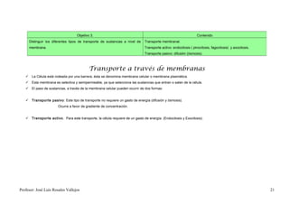Objetivo 3.                                                                    Contenido
     Distinguir los diferentes tipos de transporte de sustancias a nivel de    Transporte membranal.
     membrana.                                                                 Transporte activo: endocitosis ( pinocitosis, fagocitosis) y exocitosis.
                                                                               Transporte pasivo: difusión (ósmosis).



                                           Transporte a través de membranas
    La Célula está rodeada por una barrera, ésta se denomina membrana celular o membrana plasmática.
    Esta membrana es selectiva y semipermeable, ya que selecciona las sustancias que entran o salen de la célula.
    El paso de sustancias, a través de la membrana celular pueden ocurrir de dos formas:


    Transporte pasivo : Este tipo de transporte no requiere un gasto de energía (difusión y ósmosis).
                       Ocurre a favor de gradiente de concentración.


    Transporte activo . Para este transporte, la célula requiere de un gasto de energía. (Endocitosis y Exocitosis).




Profesor: José Luís Rosales Vallejos                                                                                                                      21
 