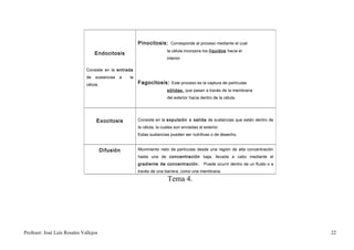 Pinocitosis: Corresponde al proceso mediante el cual
                                                                        la célula incorpora los líquidos hacia el
                                   Endocitosis
                                                                        interior.

                              Consiste en la entrada
                              de   sustancias a    la
                              célula.                   Fagocitosis: Este proceso es la captura de partículas
                                                                        sólidas, que pasan a través de la membrana
                                                                        del exterior hacia dentro de la célula.




                                   Exocitosis           Consiste en la expulsión o salida de sustancias que están dentro de
                                                        la célula, la cuales son enviadas al exterior.
                                                        Estas sustancias pueden ser nutritivas o de desecho.


                                        Difusión        Movimiento neto de partículas desde una región de alta concentración
                                                        hasta una de concentración baja, llevada a cabo mediante el
                                                        gradiente de concentración.          Puede ocurrir dentro de un fluido o a
                                                        través de una barrera, como una membrana.

                                                                        Tema 4.




Profesor: José Luís Rosales Vallejos                                                                                                 22
 