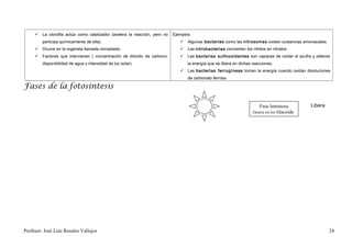  La clorofila actúa como catalizador (acelera la reacción, pero no   Ejemplos:
         participa químicamente de ella).                                      Algunas bacterias como las nitrosomas oxidan sustancias amoniacales.
      Ocurre en la organela llamada cloroplasto.                              Las nitrobacterias convierten los nitritos en nitratos.
      Factores que intervienen ( concentración de dióxido de carbono,         Las bacterias sulfooxidantes son capaces de oxidar el azufre y obtener
         disponibilidad de agua y intensidad de luz solar).                       la energía que se libera en dichas reacciones.
                                                                               Las bacterias ferrugíneas toman la energía cuando oxidan disoluciones
                                                                                  de carbonato ferroso.

Fases de la fotosíntesis

                                                                                                                        Fase luminosa          Libera
                                                                                                                     Ocurre en los tilacoide




Profesor: José Luís Rosales Vallejos                                                                                                                    24
 