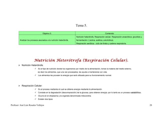 Tema 5.

                                    Objetivo 5.                                                              Contenido
                                                                          Nutrición heterótrofa. Respiración celular. Respiración anaeróbica: glucólisis y
         Analizar los procesos asociados a la nutrición heterótrofa.      fermentación ( Láctica, acética y alcohólica).
                                                                          Respiración aeróbica : ciclo de Krebs y cadena respiratoria.




                          Nutrición Heterótrofa (Respiración Celular).
         Nutrición Heterótrofa:
                           Es el tipo de nutrición donde los organismos por medio de la alimentación, toman la materia del medio externo,
                              es decir los alimentos, que una vez procesados, les ayuda a mantenerse con vida.
                           Los alimentos les proveen la energía que será utilizada para su funcionamiento normal.




         Respiración Celular:
                           Es el proceso mediante el cual se obtiene energía mediante la alimentación.
                           Consiste en la degradación (descomposición) de la glucosa, para obtener energía; por lo tanto es un proceso catabólico.
                           Ocurre en el citoplasma y la organela denominada mitocondria.
                           Existen dos tipos:


Profesor: José Luís Rosales Vallejos                                                                                                                         28
 