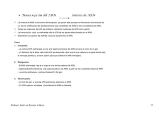  Transcripción del ADN                                         Síntesis de ARN

    La síntesis de ARN se denomina transcripción, ya que en este proceso la información es transcrita de
       un tipo de codificación del almacenamiento (los nucleótidos del ADN) a otro (nucleótidos del ARN).
    Todas las moléculas de ARN se sintetizan utilizando moléculas de ADN como patrón.
    La transcripción copia normalmente sólo el ADN de los genes seleccionados en el ARN.
    Solamente una cadena de ADN es transcrita para formar el ARN.


   Pasos:
   1. Iniciación:
       - La enzima ARN polimerasa se une a la región promotora del ADN cercana al inicio de un gen .
       - Un filamento de la doble hélice del ADN se desenrolla, abre una de sus cadena en la parte donde está
       el mensaje genético y sirve de patrón para que sintetice el ARN mensajero.


   2. Elongación:
       - El ARN polimerasa viaja a lo largo de una de las cadenas de ADN.
       - Catalizando la formación de una cadena continua de ARN, a partir de los nucleótidos libres de ARN.
       - La enzima polimerasa continúa hasta el fin del gen.


   3. Terminación:
       - Al final del gen, la enzima ARN polimerasa abandona el ADN.
       - El ADN vuelve a enrollarse y la molécula de ARN es liberada.




Profesor: José Luís Rosales Vallejos                                                                            35
 