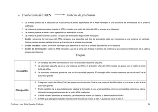  Traducción del ARN                                      Síntesis de proteínas

            La síntesis proteica es la traducción de la secuencia de bases especificada en el ARN mensajero a una secuencia de aminoácidos en la proteína
               codificada.
            La síntesis de proteína empieza cuando el ARN t iniciador y el codón de inicio del ARN m se unen a un ribosoma.
            La síntesis proteica se lleva a cabo agregando un aminoácido a la vez.
            La síntesis de proteína termina cuando un codón de terminación llega al ARN mensajero.
            Codón: secuencia de tres bases del ARN mensajero que especifica qué tipo de aminoácido debe ser incorporado a una proteína en particular.
               Ciertos codones también señalan el inicio y el término de la síntesis de proteínas.
            Codón iniciador: codón, en el ARN mensajero que determina el inicio de la síntesis de proteínas en el ribosoma.
            Codón de terminación: codón de ARN mensajero, que da la señal para finalizar la síntesis de proteínas y que ocasiona la liberación de la cadena
               proteica del ribosoma.
                                                                             Etapas

                              Un complejo de ARNt –aminoacido se une a la subunidad ribosomal pequeña.
                              La subunidad pequeña se une a una molécula de ARN m. El anticodón UAC del ARNt iniciador se aparea con el codón de inicio
                                AUG del ARNm.
      Iniciación
                              La subunidad ribosomal grande se une con la subunidad pequeña. El complejo ARN t iniciador-metionina se une al sitio P de la
                                subunidad grande.


                              El segundo codón del ARNm (GUU) se aparea con el anticodón CAA de una molécula de ARNt valina, la cula entra al sitio A de la
                                subunidad grande.
                              El sitio catalítico de la subunidad grande cataliza la formación de una unión peptídica entre los aminoácidos metionina y valina,
     Elongación
                                utilizando la energía almacenada en la unión ARN t –metionina.
                              El ARN iniciador abandona el ribosoma, y el ribosoma se mueve un codón a la derecha sobre el ARN m
                              El ARNt que alberga el dipéptido recientemente formado se mueve al sitio P, quedando vacío el sitio A.

Profesor: José Luís Rosales Vallejos                                                                                                                               36
 
