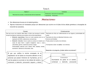 Tema 6.
                                     Objetivo 7.                                                                Contenido
                                                                               Mutaciones. Inducción de mutaciones.
            Reconocer las causas y consecuencias de las mutaciones.
                                                                               Importancia. Prevención.


                                                                       Mutaciones
   •   Son alteraciones bruscas en el material genético.
   •   Algunas mutaciones son heredadas porque son alteraciones que ocurren en el núcleo de las células gaméticas o encargadas de
       transmitir los caracteres.


                                   Causas                                                                      Consecuencias
Para que ocurra una mutación debe haber un factor que provoque el cambio.      *Nacimiento de niños con malformaciones en sus órganos y extremidades del
Aunque hay algunas mutaciones que resultan como errores espontáneos.           cuerpo.
           Mutación espontánea : Ocurre sin razón aparente (error en la       *Nacimiento de niños con diferentes Síndromes, como:
            duplicación del ADN o alteraciones cromosómicas.                   Síndrome de Klinefelter.
           Mutación inducida: Ocurre cuando se produce la mutación por        *Puede producir la muerte a los individuos.
            causa de algún factor o agente mutagénico: rayos x, rayos
            ultravioletas, gamma, sustancias químicas, drogas.                 *Corresponde a todos los daños en el individuo.
            Enfermedades maternas como rubéola, sífilis, diabetes, tiroides,
            alcoholismo, deficiencia nutricionales, otras.
                                                                               Responde a la pregunta ¿Cuáles daños se producen?
            Responde a la pregunta ¿Qué lo produce?
   El gen que codifica la enzima encargada de la
                                                                                                                Causa
   degradación de los lípidos se encuentra alterado en las
                                                                                           Alteración en Consecuencia codifica la
                                                                                                         el gen que
   personas que poseen Síndrome de Tay-Sachas, por lo
Profesor:las grasas se acumulan en las células del cerebro y                               enzima encargada grasa degradación de
                                                                                           Acumulación de de la en el cerebro,
   cual José Luís Rosales Vallejos                                                                                                                         38
                                                                                           lípidos.
                                                                                           comienzan       a     destruirlo,   provocando
   comienzan a destruirlo, provocando ceguera y retraso
 