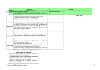 Objetivo 9.                                                             Contenido
 FASES                         CARACTERÍSTICAS
    Reconocer las fases de la mitosis.
PROFASE *La cromatina se condensa y los cromosomas se tornan visibles.              Mitosis: citocinesis.
          *Los centriolos son visibles y comienzan a moverse de un lado a
          otro de la célula.
          *Aparecen las primeras fibras del huso mitótico o acromático.                                                 Mitosis
          *Aparecen unas fibras alrededor del centriolo “áster”.
          *Desaparece la membrana nuclear y los nucleolos.


             *Al final de la profase los cromosomas se mueven de un lugar a otro,
             por medio de las fibras de huso, luego al inicio de metafase, los
             cromosomas se alinean en un plano a la mitad de los polos del
METAFAS
             huso (plano ecuatorial, centro de la célula), es decir, en forma
   E
             perpendicular al huso acromático.



             *Los cromosomas se separan de sus cromátides y se desplazan a los
             polos opuestos de la célula, transformándose en cromosomas hijos.
ANAFASE



         *Aparece Un surco divisorio en las células animales y una placa de
         división en las células vegetales.
         *Los cromosomas son menos visibles.
         *Desaparecen las fibras del huso acromático y los centriolos.
TELOFASE
         *Se reconstruye la membrana nuclear y los nucleolos.
         *El surco divisorio se hace más notorio y culmina con la división de
         la célula en dos células hijas idénticas a la célula madre.

                 Importancia de la mitosis
    *Mantiene constante el número de cromosomas de la especie
    *Se transmiten los caracteres hereditarios.
    *Aumenta la cantidad de ADN (duplicación de cromosomas)
    *Permite la reproducción de seres unicelulares.
    *Permite el crecimiento de seres pluricelulares.
    *Permite la cicatrización de las heridas, mediante la
    regeneración de los tejidos.

Profesor: José Luís Rosales Vallejos                                                                                              41
 