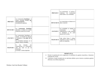 Los cromosomas se vuelven a
                                                                PROFASE II      condensar. Los cromosomas
                                                                                están unidos a sus cromátidas.


               Los cromosomas homólogos se
               reúnen, formando tétradas, hay
 PROFASE I     entrecruzamiento             y                              Los cromosomas se alinean en el
               recombinación genética.                         METAFASE II plano ecuatorial.



               Los cromosomas homólogos                                         Las cromátides se separan en
METAFASE I     apareados se alinean en el plano                                 cromosomas                hijas
               ecuatorial (centro) de la célula                ANAFASE II       independientes y cada cromátida
                                                                                se desplazan a los polos
                                                                                opuestos de la célula.
               Los cromosomas homólogos se
               separan; un miembro de cada par
 ANAFASE I     se desplazan a los polos de la                              Cada célula forma 2 células,
               célula.                                         TELOFASE II originando en total 4 células, las
               Las cromátidas hermanas no se                               cuales son haploides.
               separan. (tienen 4 tétradas)

               Se     han      formado        dos
               combinaciones de cromosomas,
TELOFASE I     cada uno tiene un par de
               homólogos.
               Se forman 2 células haploides.

                                                                                            IMPORTANCIA
                                                    •   Permite la reproducción de los organismos al combinarse los gametos masculinos y femeninos
                                                        (reproducción sexual).
                                                    •   Contribuye a la gran variedad entre los individuos debido a que en meiosis se producen gametos
                                                        diferentes a las células progenitoras .



Profesor: José Luís Rosales Vallejos                                                                                                                44
 
