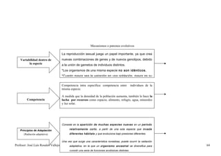Mecanismos o patrones evolutivos

                                       La reproducción sexual juega un papel importante, ya que crea
    Variabilidad dentro de             nuevas combinaciones de genes y de nuevos genotipos, debido
          la especie                   a la unión de gametos de individuos distintos.
                                       *Los organismos de una misma especie no son idénticos.
                                       *Cuanto mayor sea la variación en una población, mayor es su


                                       Competencia intra específica: competencia entre              individuos de la
                                       misma especie.

                                       A medida que la densidad de la población aumenta, también lo hace la
         Competencia                   lucha por recursos como espacio, alimento, refugio, agua, minerales
                                       y luz solar.




                                       Consiste en la aparición de muchas especies nuevas en un periodo

    Principios de Adaptación                 relativamente corto , a partir de una sola especie que invade
       (Radiación adaptativa)                diferentes hábitats y que evoluciona bajo presiones diferentes.

                                       Una vez que surge una característica novedosa, puede ocurrir la radiación
Profesor: José Luís Rosales Vallejos         adaptativa, en la que un organismo ancestral se diversifica para          64
                                             cumplir una serie de funciones ecológicas distintas.
 