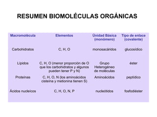 RESUMEN BIOMOLÉCULAS ORGÁNICAS
Macromolécula Elementos Únidad Básica
(monómero)
Tipo de enlace
(covalente)
Carbohidratos C, H, O monosacáridos glucosídico
Lípidos C, H, O (menor proporción de O
que los carbohidratos y algunos
pueden tener P y N)
Grupo
Heterogéneo
de moléculas
éster
Proteínas C, H, O, N (los aminoácidos
cisteína y metionina tienen S)
Aminoácidos peptídico
Ácidos nucleícos C, H, O, N, P nucleótidos fosfodiéster
 