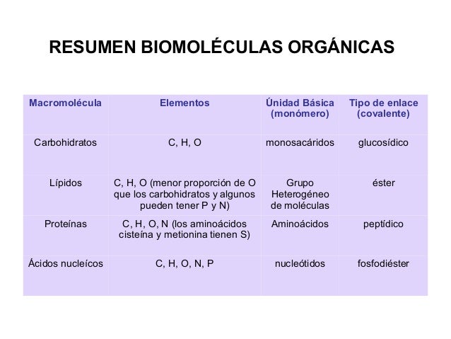 Resultado de imagen de biomoleculas organicas