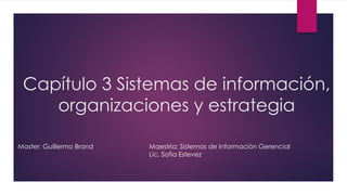 Capítulo 3 Sistemas de información,
organizaciones y estrategia
Maestria: Sistemas de Información Gerencial
Lic. Sofia Estevez
Master: Guillermo Brand
 