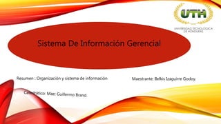 Sistema De Información Gerencial
Maestrante: Belkis Izaguirre Godoy.Resumen : Organización y sistema de información
 