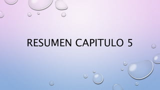 RESUMEN CAPITULO 5
 