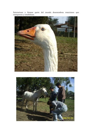 Interactuar y formar parte del mundo desencadena reacciones que
enriquecen y estabilizan.
 