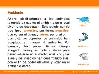 Ahora, clasificaremos a los animales tomando en cuenta el ambiente en el cual viven y se desplazan. Éste puede ser de tres tipos:  terrestre , por tierra;  acuático ,  que es por el agua; y  aéreo ,  por el aire. Las distintas especies de animales han adaptado su cuerpo al ambiente. Por ejemplo, los peces tienen cuerpo alargado, branquias, cola y aletas para desenvolverse en el medio acuático; y las aves y los insectos han desarrollado alas, con el fin de poder elevarse y volar en el ambiente aéreo.  TERRESTRE ACUÁTICO AÉREO Ambiente 