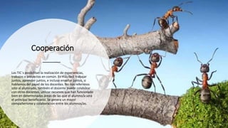 Cooperación
Las TIC´s posibilitan la realización de experiencias,
trabajos o proyectos en común. Es más fácil trabajar
juntos, aprender juntos, e incluso enseñar juntos, si
hablamos del papel de los docentes. No nos referimos
sólo al alumnado, también el docente puede colaborar
con otros docentes, utilizar recursos que han funcionado
bien en determinadas áreas de las que el alumno/a será
el principal beneficiario. Se genera un mayor
compañerismo y colaboración entre los alumnos/as.
 