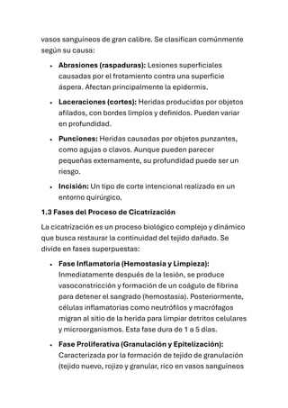 vasos sanguíneos de gran calibre. Se clasifican comúnmente
según su causa:
• Abrasiones (raspaduras): Lesiones superficiales
causadas por el frotamiento contra una superficie
áspera. Afectan principalmente la epidermis.
• Laceraciones (cortes): Heridas producidas por objetos
afilados, con bordes limpios y definidos. Pueden variar
en profundidad.
• Punciones: Heridas causadas por objetos punzantes,
como agujas o clavos. Aunque pueden parecer
pequeñas externamente, su profundidad puede ser un
riesgo.
• Incisión: Un tipo de corte intencional realizado en un
entorno quirúrgico.
1.3 Fases del Proceso de Cicatrización
La cicatrización es un proceso biológico complejo y dinámico
que busca restaurar la continuidad del tejido dañado. Se
divide en fases superpuestas:
• Fase Inflamatoria (Hemostasia y Limpieza):
Inmediatamente después de la lesión, se produce
vasoconstricción y formación de un coágulo de fibrina
para detener el sangrado (hemostasia). Posteriormente,
células inflamatorias como neutrófilos y macrófagos
migran al sitio de la herida para limpiar detritos celulares
y microorganismos. Esta fase dura de 1 a 5 días.
• Fase Proliferativa (Granulación y Epitelización):
Caracterizada por la formación de tejido de granulación
(tejido nuevo, rojizo y granular, rico en vasos sanguíneos
 