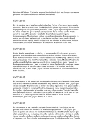 Resumen D.Quijote