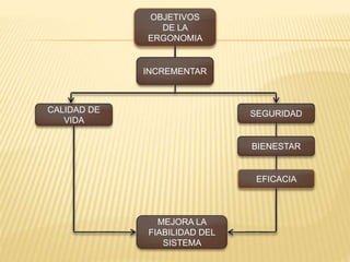 OBJETIVOS
DE LA
ERGONOMIA
INCREMENTAR
CALIDAD DE
VIDA
SEGURIDAD
BIENESTAR
EFICACIA
MEJORA LA
FIABILIDAD DEL
SISTEMA
 