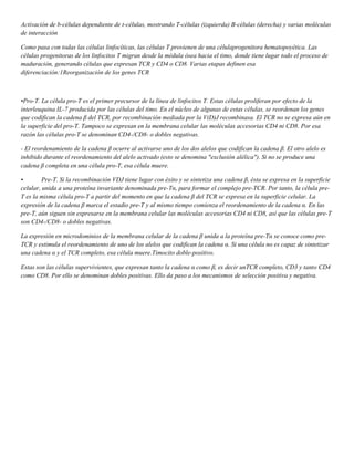 Activación de b-células dependiente de t-células, mostrando T-células (izquierda) B-células (derecha) y varias moléculas 
de interacción 
Como pasa con todas las células linfocíticas, las células T provienen de una célulaprogenitora hematopoyética. Las 
células progenitoras de los linfocitos T migran desde la médula ósea hacia el timo, donde tiene lugar todo el proceso de 
maduración, generando células que expresan TCR y CD4 o CD8. Varias etapas definen esa 
diferenciación:1Reorganización de los genes TCR 
•Pro-T. La célula pro-T es el primer precursor de la línea de linfocitos T. Estas células proliferan por efecto de la 
interleuquina IL-7 producida por las células del timo. En el núcleo de algunas de estas células, se reordenan los genes 
que codifican la cadena β del TCR, por recombinación mediada por la V(D)J recombinasa. El TCR no se expresa aún en 
la superficie del pro-T. Tampoco se expresan en la membrana celular las moléculas accesorias CD4 ni CD8. Por esa 
razón las células pro-T se denominan CD4-/CD8- o dobles negativas. 
- El reordenamiento de la cadena β ocurre al activarse uno de los dos alelos que codifican la cadena β. El otro alelo es 
inhibido durante el reordenamiento del alelo activado (esto se denomina "exclusión alélica"). Si no se produce una 
cadena β completa en una célula pro-T, esa célula muere. 
• Pre-T. Si la recombinación VDJ tiene lugar con éxito y se sintetiza una cadena β, ésta se expresa en la superficie 
celular, unida a una proteína invariante denominada pre-Tα, para formar el complejo pre-TCR. Por tanto, la célula pre- 
T es la misma célula pro-T a partir del momento en que la cadena β del TCR se expresa en la superficie celular. La 
expresión de la cadena β marca el estadio pre-T y al mismo tiempo comienza el reordenamiento de la cadena α. En las 
pre-T, aún siguen sin expresarse en la membrana celular las moléculas accesorias CD4 ni CD8, así que las células pre-T 
son CD4-/CD8- o dobles negativas. 
La expresión en microdominios de la membrana celular de la cadena β unida a la proteína pre-Tα se conoce como pre- 
TCR y estimula el reordenamiento de uno de los alelos que codifican la cadena α. Si una célula no es capaz de sintetizar 
una cadena α y el TCR completo, esa célula muere.Timocito doble-positivo. 
Estas son las células supervivientes, que expresan tanto la cadena α como β, es decir unTCR completo, CD3 y tanto CD4 
como CD8. Por ello se denominan dobles positivas. Ello da paso a los mecanismos de selección positiva y negativa. 

