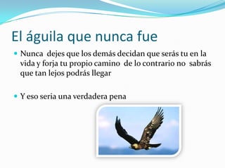 El águila que nunca fueNunca  dejes que los demás decidan que serás tu en la vida y forja tu propio camino  de lo contrario no  sabrás que tan lejos podrás llegar Y eso seria una verdadera pena