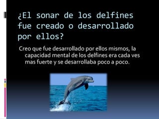 ¿El sonar de los delfines
fue creado o desarrollado
por ellos?
Creo que fue desarrollado por ellos mismos, la
capacidad mental de los delfines era cada ves
mas fuerte y se desarrollaba poco a poco.
 