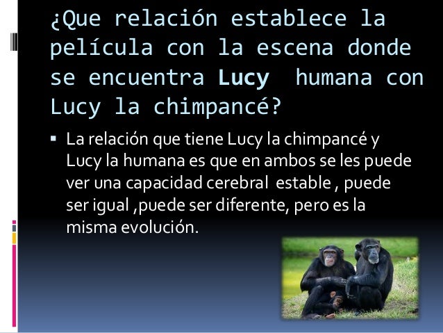 Resumen de la pelicula lucy