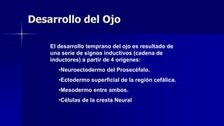 Desarrollo del Ojo
El desarrollo temprano del ojo es resultado de
una serie de signos inductivos (cadena de
inductores) a partir de 4 orígenes:
•Neuroectodermo del Prosecéfalo.
•Ectodermo superficial de la región cefálica.
•Mesodermo entre ambos.
•Células de la cresta Neural
 