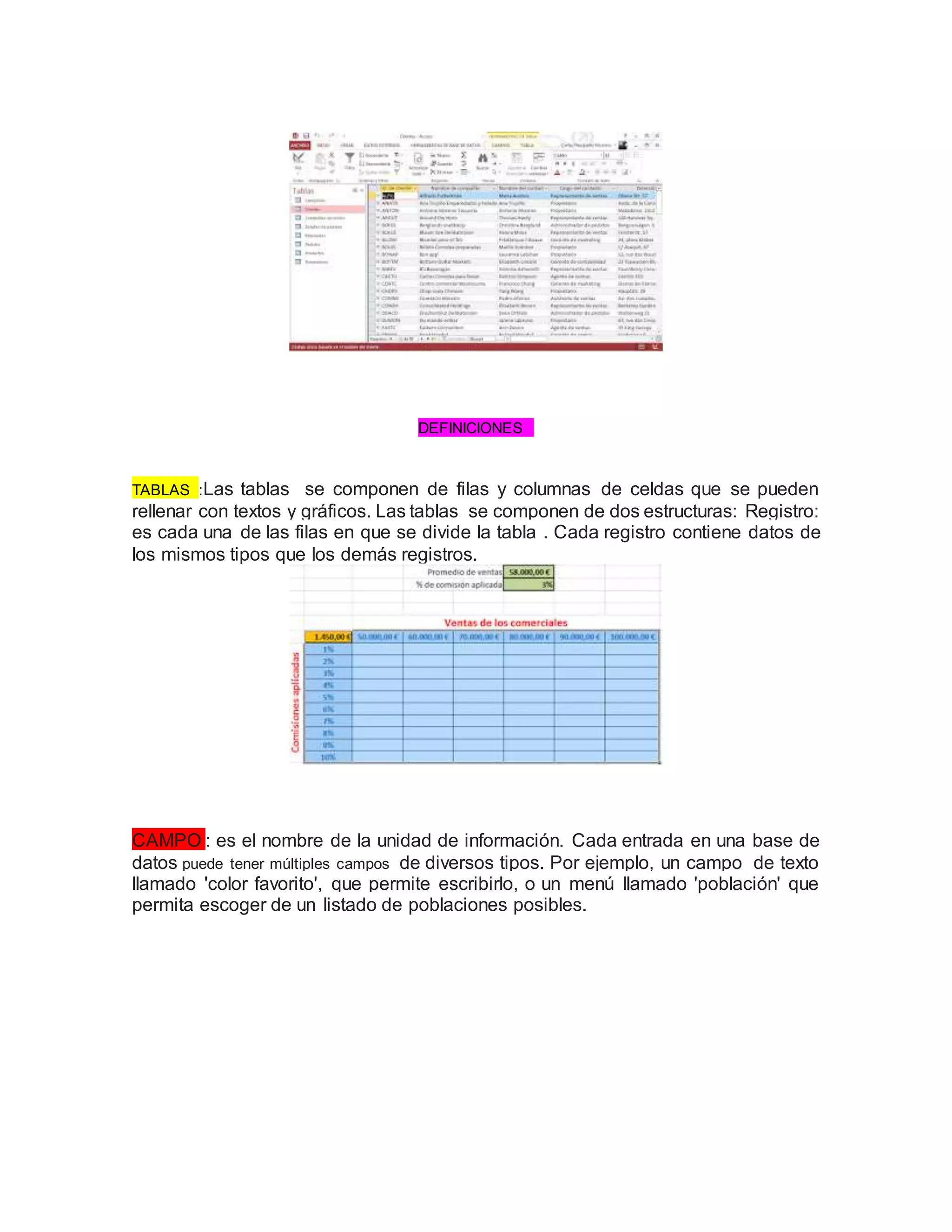 Resumen de lo que es una base de datos y de la aplicación access | PDF