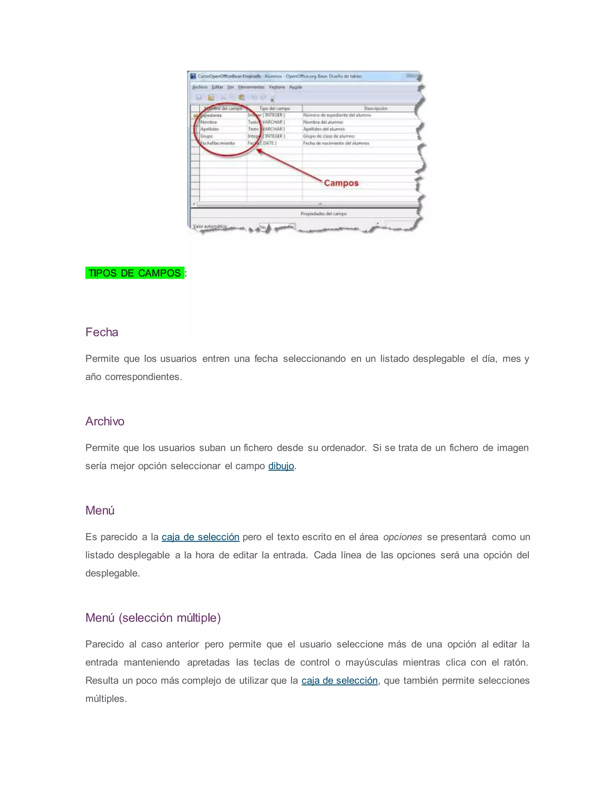 Resumen de lo que es una base de datos y de la aplicación access | PDF