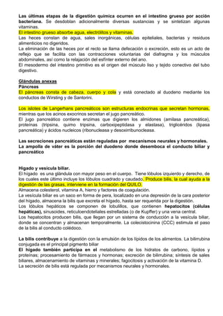 Las últimas etapas de la digestión química ocurren en el intestino grueso por acción
bacteriana. Se desdoblan adicionalmente diversas sustancias y se sintetizan algunas
vitaminas.
El intestino grueso absorbe agua, electrólitos y vitaminas.
Las heces constan de agua, sales inorgánicas, células epiteliales, bacterias y residuos
alimenticios no digeridos.
La eliminación de las heces por el recto se llama defecación o excreción, esto es un acto de
reflejo que se facilita con las contracciones voluntarias del diafragma y los músculos
abdominales, así como la relajación del esfínter externo del ano.
El mesodermo del intestino primitivo es el origen del músculo liso y tejido conectivo del tubo
digestivo.
Glándulas anexas
Páncreas
El páncreas consta de cabeza, cuerpo y cola y está conectado al duodeno mediante los
conductos de Wirsting y de Santorini.
Los islotes de Langerhans pancreáticos son estructuras endocrinas que secretan hormonas,
mientras que los acinos exocrinos secretan el jugo pancreático.
El jugo pancreático contiene enzimas que digieren los almidones (amilasa pancreática),
proteínas (tripsina, quimo tripsina, carboxipeptidasa y elastasa), triglicéridos (lipasa
pancreática) y ácidos nucleicos (ribonucleasa y desoxirribunocleasa.
Las secreciones pancreáticas están reguladas por mecanismos neurales y hormonales.
La ampolla de váter es la porción del duodeno donde desemboca el conducto biliar y
pancreático
Hígado y vesícula biliar.
El hígado es una glándula con mayor peso en el cuerpo. Tiene lóbulos izquierdo y derecho, de
los cuales este último incluye los lóbulos cuadrado y caudado. Produce bilis, la cual ayuda a la
digestión de las grasas, interviene en la formación del QUILO.
Almacena colesterol, vitamina A, hierro y factores de coagulación.
La vesícula biliar es un saco en forma de pera, localizado en una depresión de la cara posterior
del hígado, almacena la bilis que excreta el hígado, hasta ser requerida por la digestión.
Los lóbulos hepáticos se componen de lobulillos, que contienen hepatocitos (células
hepáticas), sinusoides, reticuloendoteliales estrelladas (o de Kupffer) y una vena central.
Los hepatocitos producen bilis, que llegan por un sistema de conducción a la vesícula biliar,
donde se concentran y almacenan temporalmente. La colecistocinina (CCC) estimula el paso
de la bilis al conducto colédoco.
La bilis contribuye a la digestión con la emulsión de los lípidos de los alimentos. La bilirrubina
conjugada es el principal pigmento biliar
El hígado también participa en el metabolismo de los hidratos de carbono, lípidos y
proteínas; procesamiento de fármacos y hormonas; excreción de bilirrubina; síntesis de sales
biliares, almacenamiento de vitaminas y minerales; fagocitosis y activación de la vitamina D.
La secreción de bilis está regulada por mecanismos neurales y hormonales.
 
